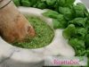 Pesto alla Genovese