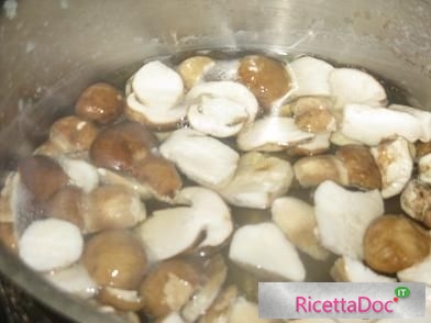 funghi porcini sott'olio conserve